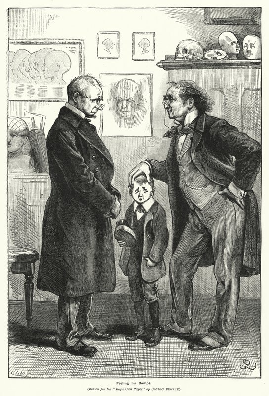 Feeling his Bumps (rytina) od Gordon Frederick (after) Browne