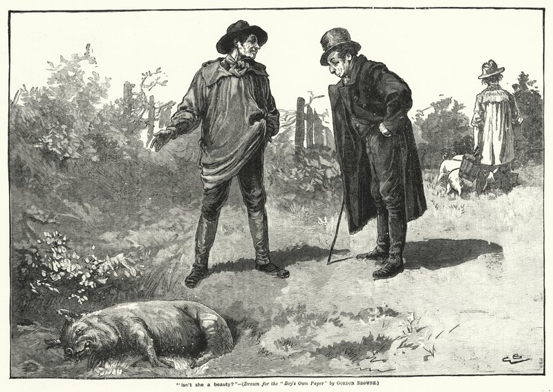 "Není krásná?" (rytina) od Gordon Frederick (after) Browne