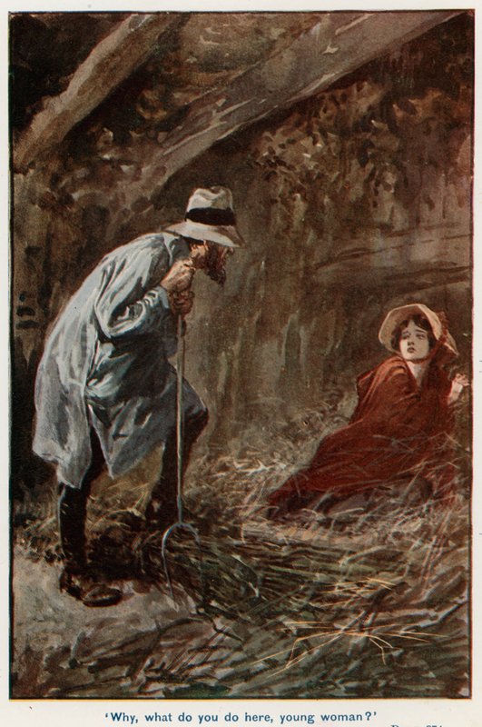 Ilustrace pro Adama Bedeho od Gordon Frederick Browne