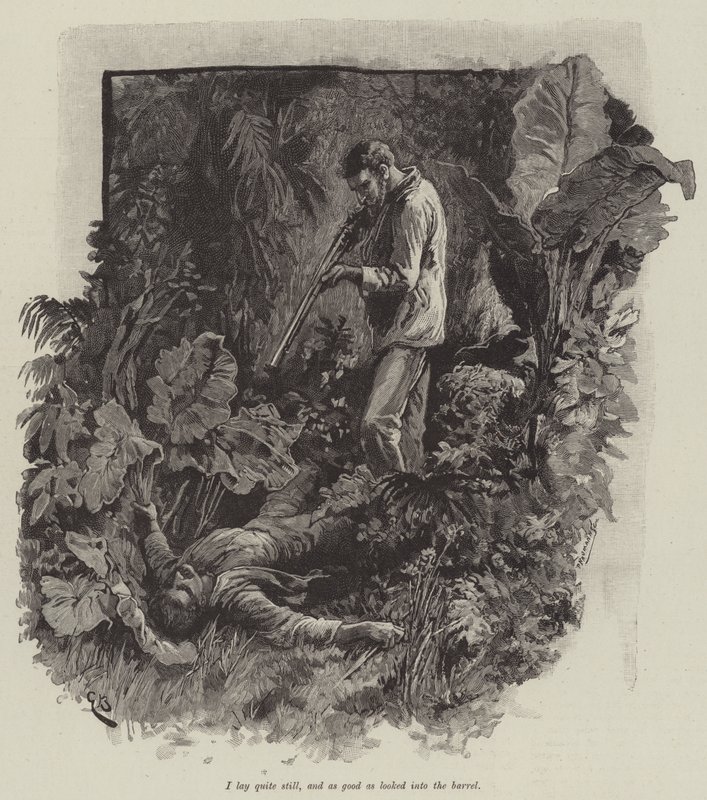 Uma neboli Pláž Falesa od Roberta Louise Stevensona od Gordon Frederick Browne