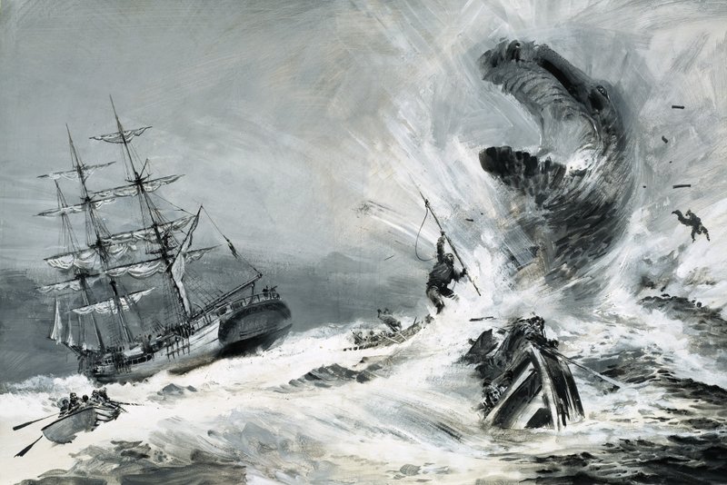 Opravdu existuje tajemná příšera, která terorizuje světové oceány od Graham Coton