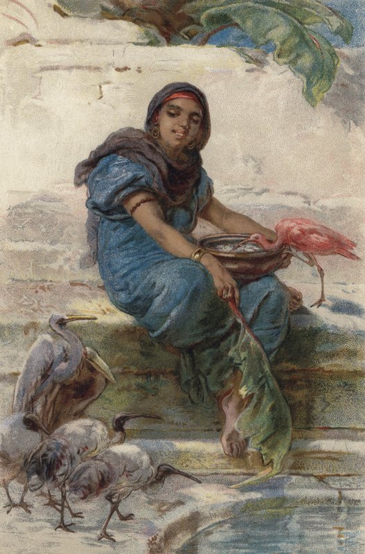 Krmení posvátných ptáků (barva litho) od Guido Bach