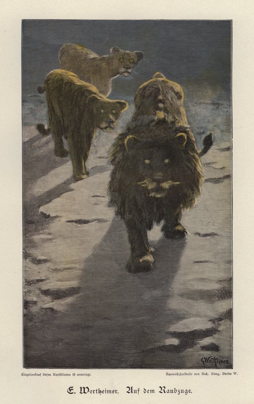 On the Raid (barevná rytina) od Gustav Wertheimer
