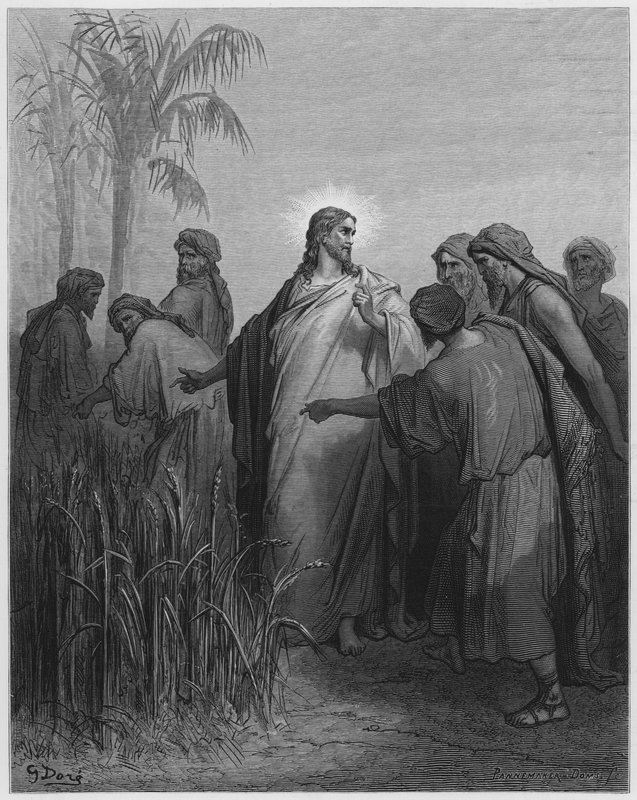 Gustave Dore Bible: Ježíš a jeho učedníci v kukuřičném poli od Gustave Dore