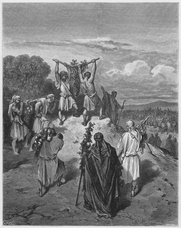 Gustave Dore Bible: Návrat špionů ze Země zaslíbené od Gustave Dore