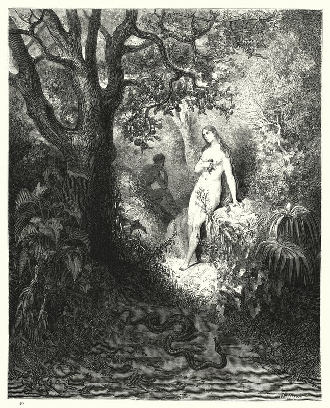Ilustrace Gustave Dore pro Miltons Paradise Lost, kniha IX, řádky 784, 785 od Gustave Dore