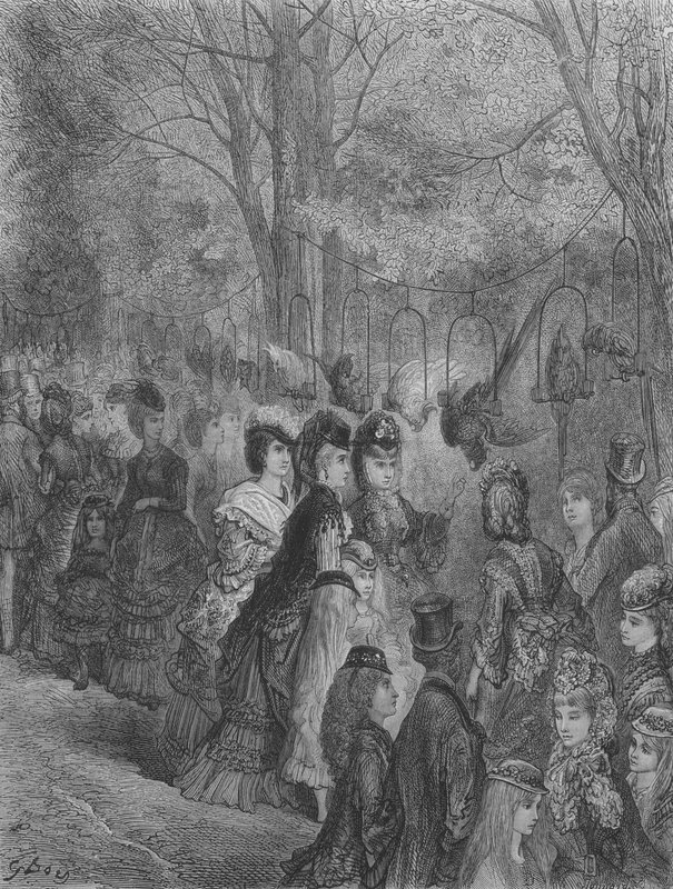 Zoologická zahrada, Ptáci od Gustave after Dore