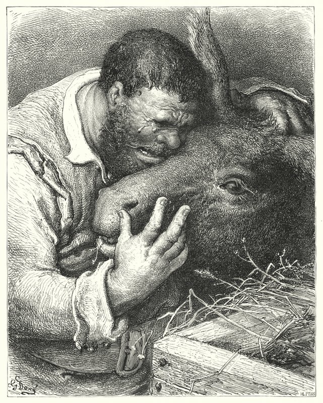 Don Quijote Gustava Dorea: "Pojď sem," řekl, "můj příteli, ty věrný společníku a spoluúčastníku na mých cestách a strastich" (rytina) od Gustave Dore