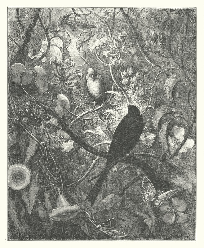 La Fontainovy bajky: (rytina) od Gustave Dore
