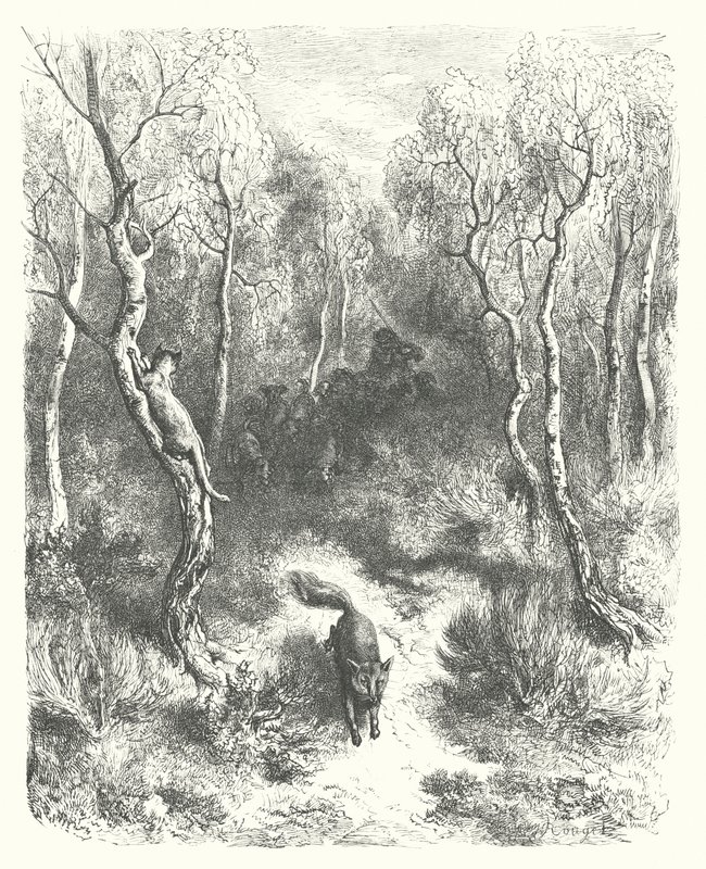 La Fontainovy bajky: Kočka a liška (rytina) od Gustave Dore