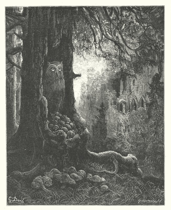 La Fontainovy bajky: Sova a myši (rytina) od Gustave Dore