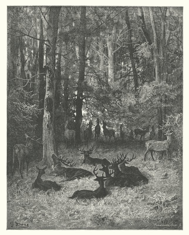 La Fontainovy bajky: (rytina) od Gustave Dore