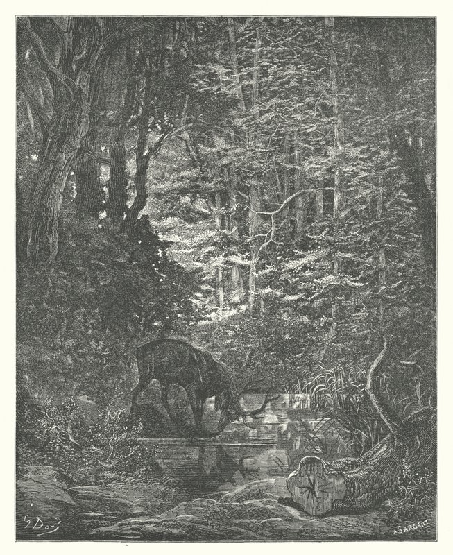 La Fontainovy bajky: (rytina) od Gustave Dore