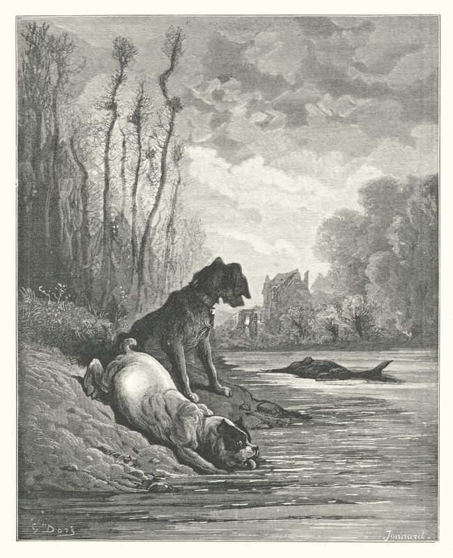 La Fontainovy bajky: (rytina): Dva psi a mrtvý osel od Gustave Dore