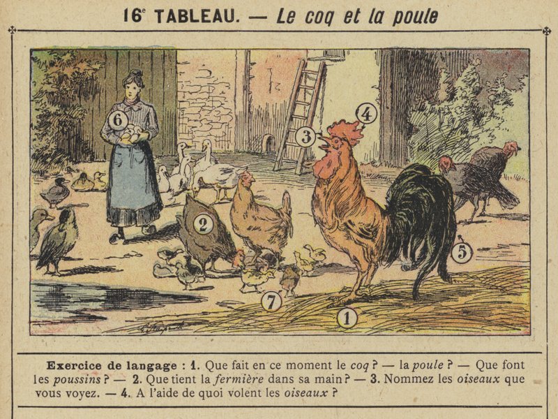 Kohout a slepice (barva litho) od Gustave Fraipont