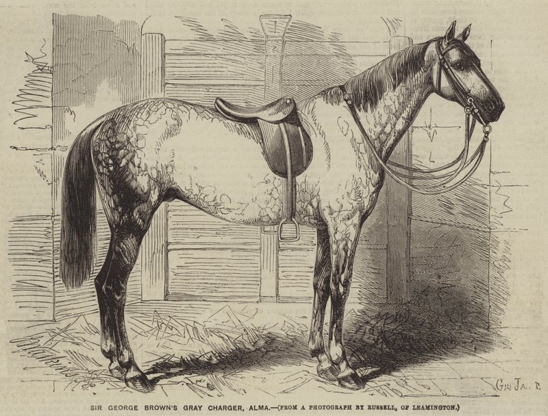 Sir George Browns Gray Charger, Alma od Gustave Janet