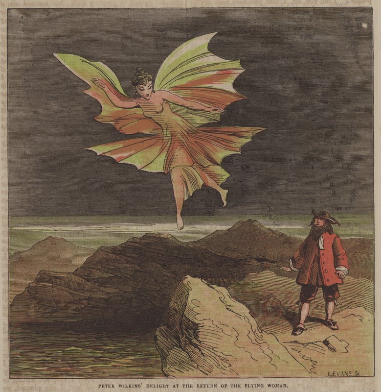 Radost Petera Wilkinse z návratu létající ženy (barva lito) od after Hablot Knight Browne