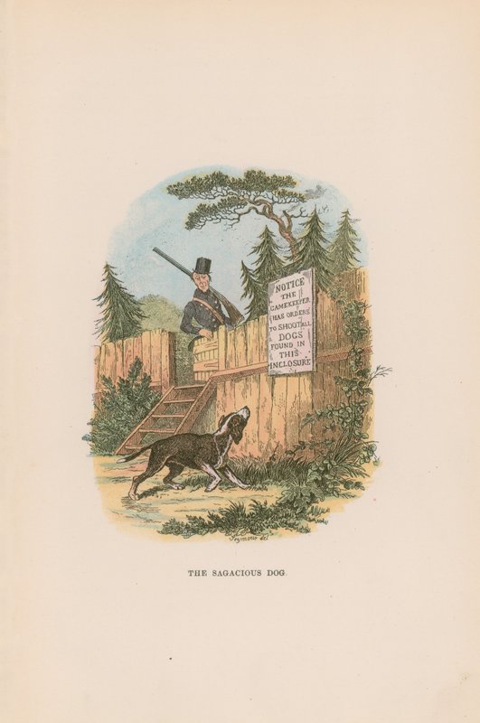 Ilustrace pro Pickwick Papers od Hablot Knight Browne