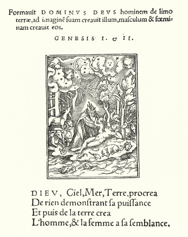 Stvoření (rytina) od Hans (after) Holbein the Younger