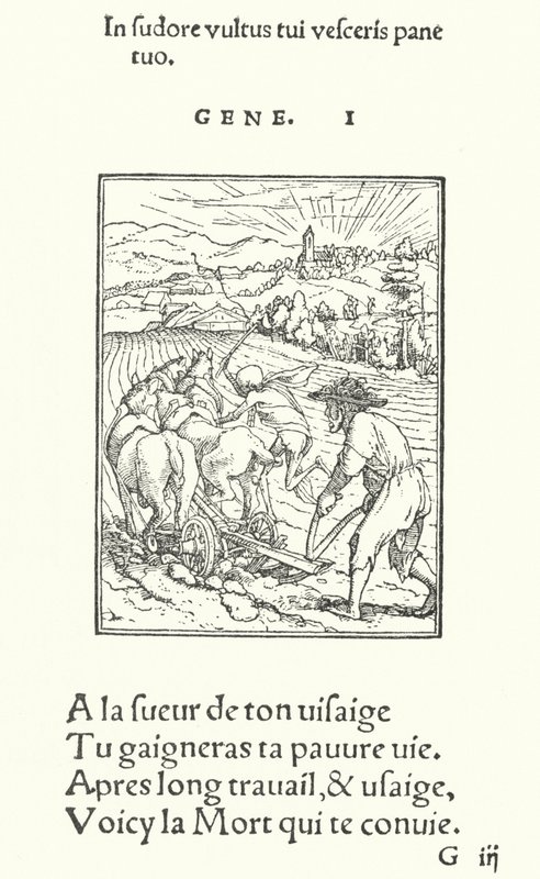 Oráč nebo farmář (rytina) od Hans (after) Holbein the Younger