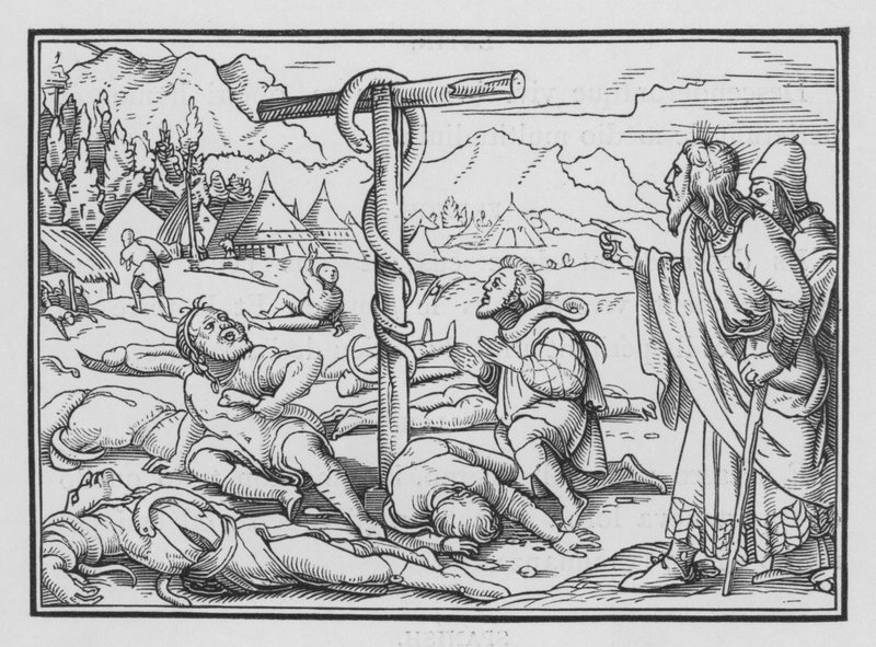 Drzý had, čísla XXI, 9 od Hans Holbein der Jüngere