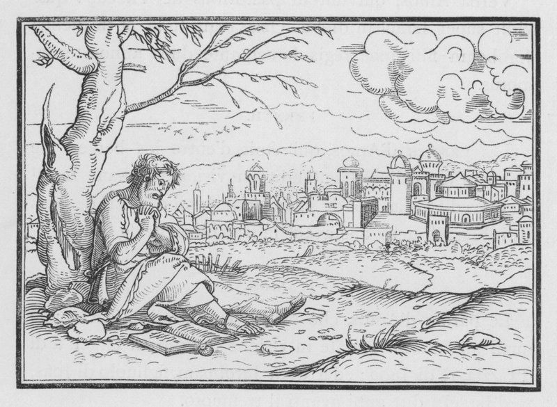 Jonah Repining at Gods Mercy, Jonah IV, 5 od Hans after Holbein the Younger