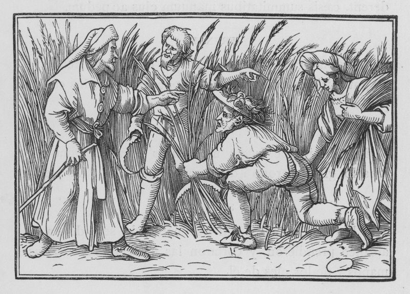 Ruth Gleaneth na Boazových polích, Ruth II, 5 od Hans after Holbein the Younger