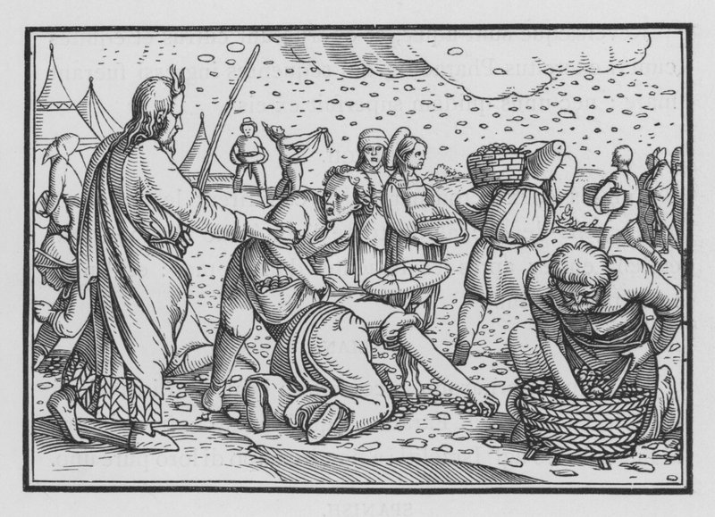 Izraelité reptají pro nedostatek chleba, Exodus XVI, 4 od Hans after Holbein the Younger