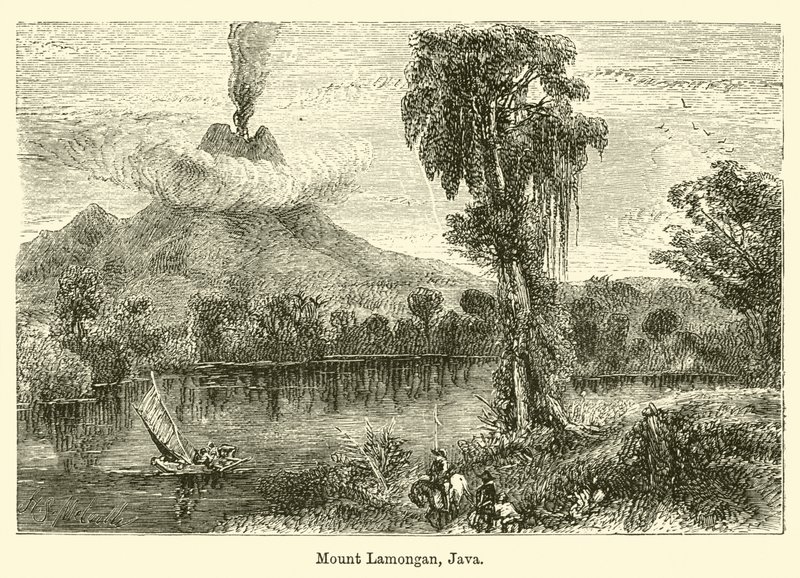 Mount Lamongan, Jáva od Harden Sidney Melville