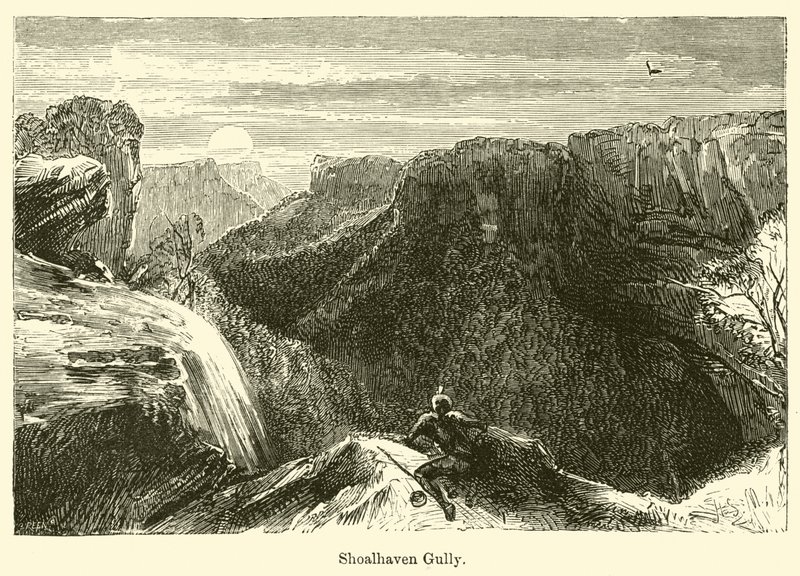 Shoalhaven Gully od Harden Sidney Melville