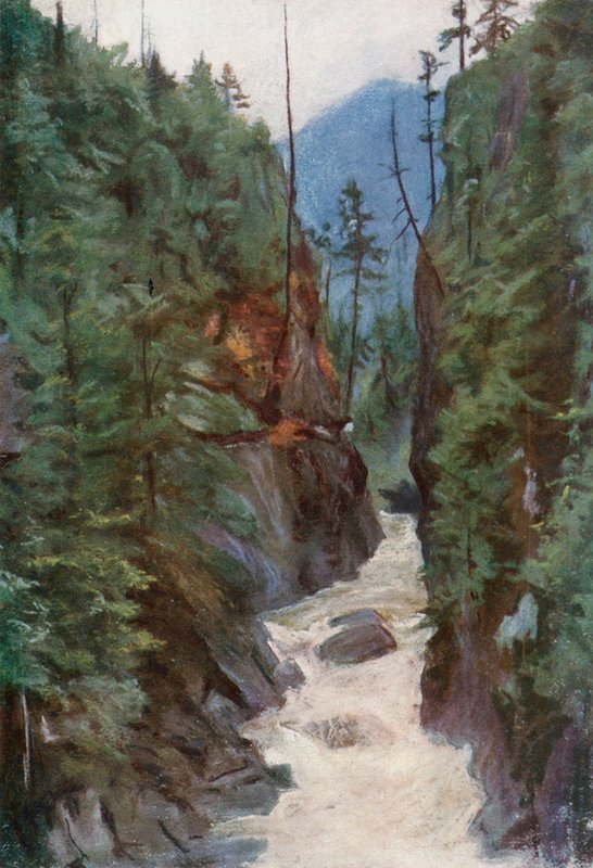 Capilano Canyon, poblíž North Vancouver od Harold Copping