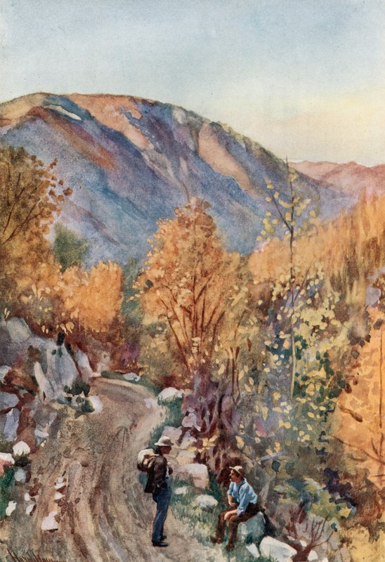 Mount Nelson od Harold Copping