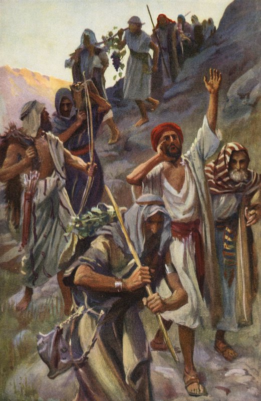 Návrat špionů (barevná litografie) od Harold Copping