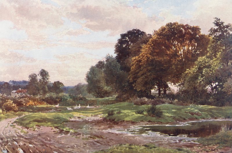 Zákoutí Esher Common (barevná litografie) od Harold Sutton Palmer
