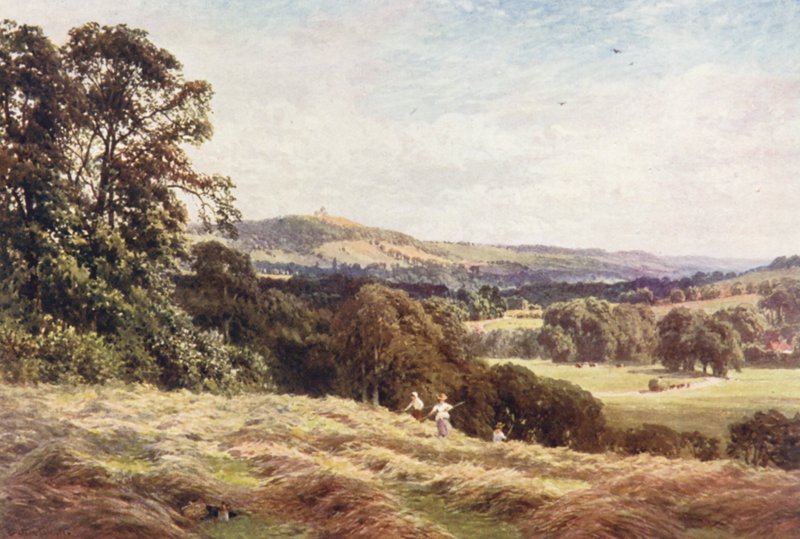 A Hayfield, Wonersh (barevná litografie) od Harold Sutton Palmer