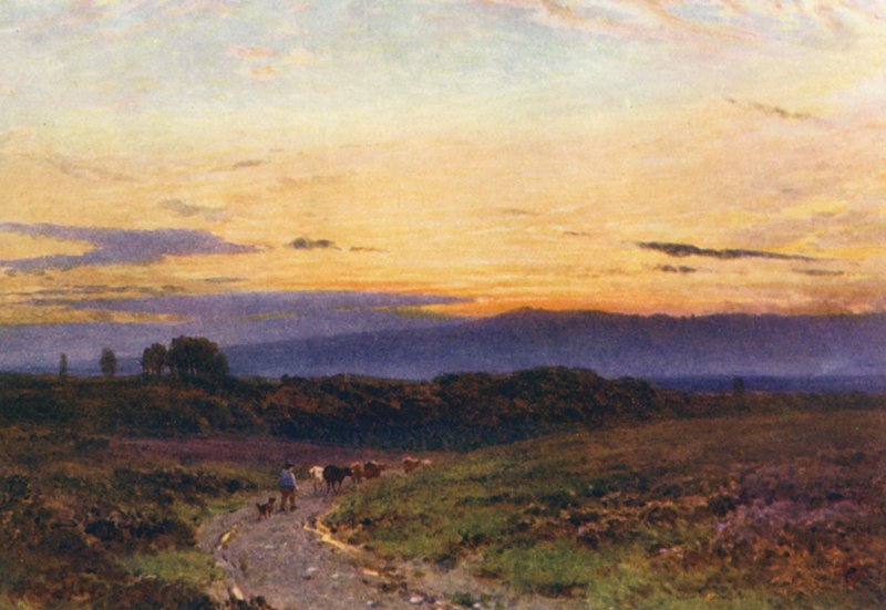 Letní podvečer, Milford Common (barevná litografie) od Harold Sutton Palmer