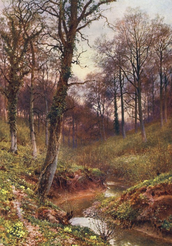 Evening Solitude, Ockley (barevná litografie) od Harold Sutton Palmer