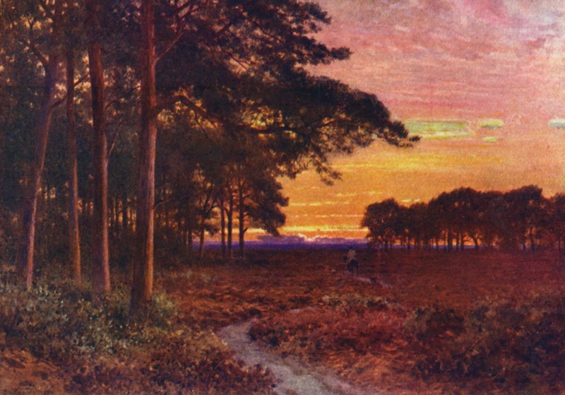 Večer na vřesovištích, Hindhead (barevná litografie) od Harold Sutton Palmer
