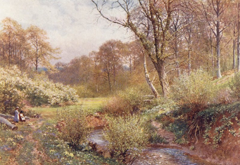 In Spring Woods, Ockley (barevná litografie) od Harold Sutton Palmer