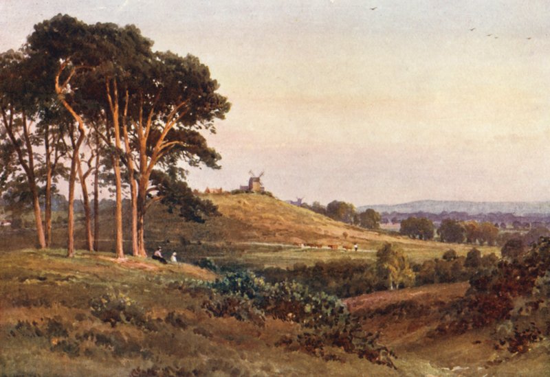 Reigate Heath, večer (barevná litografie) od Harold Sutton Palmer