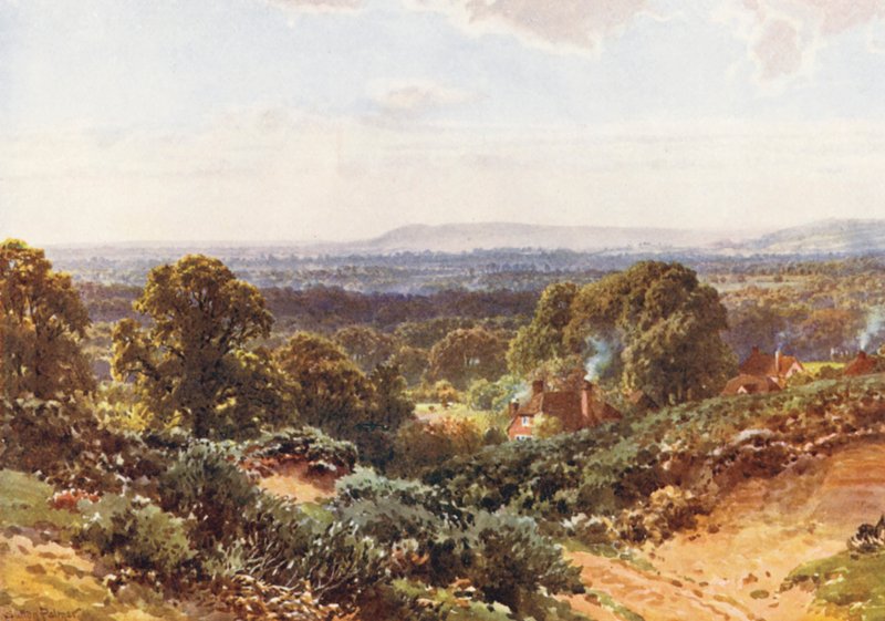 Písečné vrchy, pohled směrem k Blackdownu (barevná litografie) od Harold Sutton Palmer