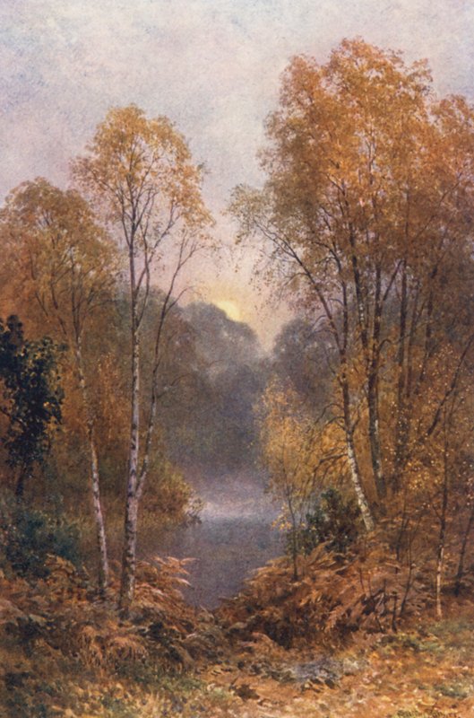 Podzimní měsíc (barevná litografie) od Harold Sutton Palmer