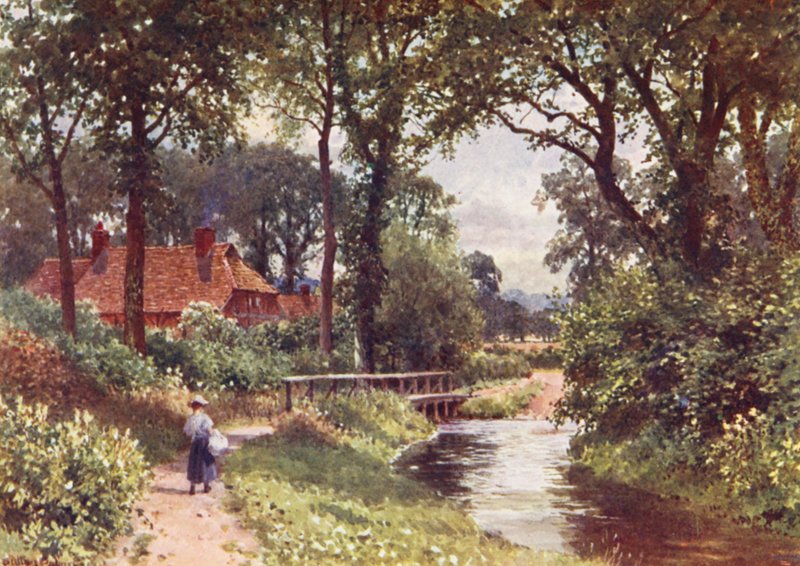 The Bourne, Chobham (barevná litografie) od Harold Sutton Palmer