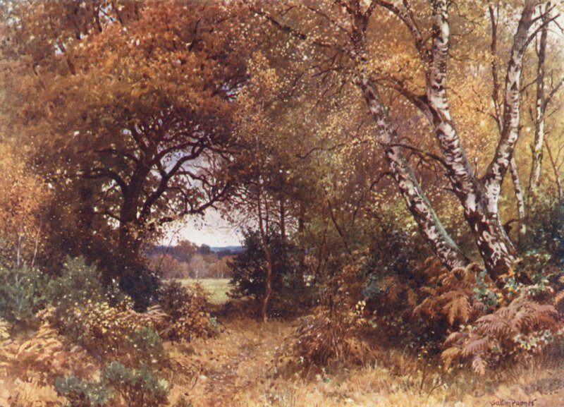 Okraj lesa, Royal Common (barevná litografie) od Harold Sutton Palmer
