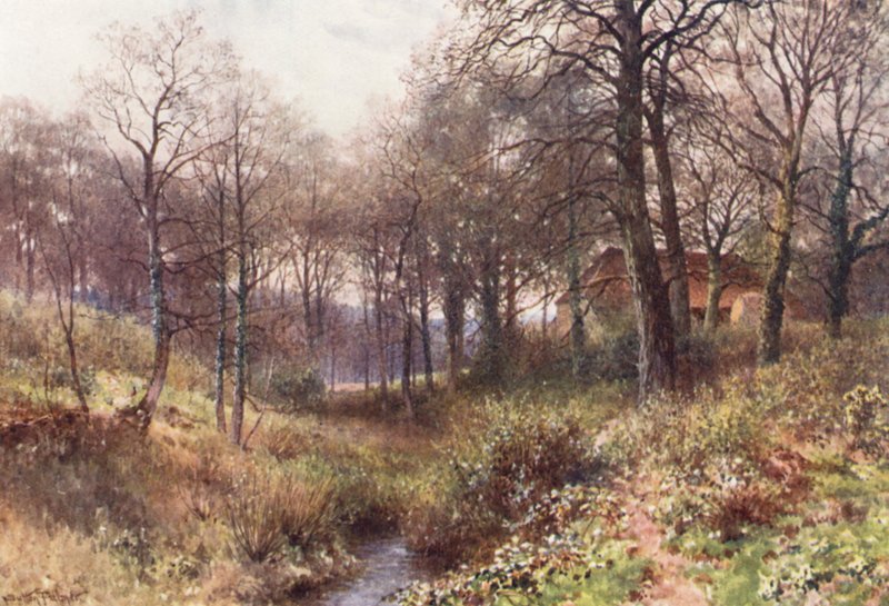 Farma uprostřed lesa, nedaleko Haslemere (barevná litografie) od Harold Sutton Palmer