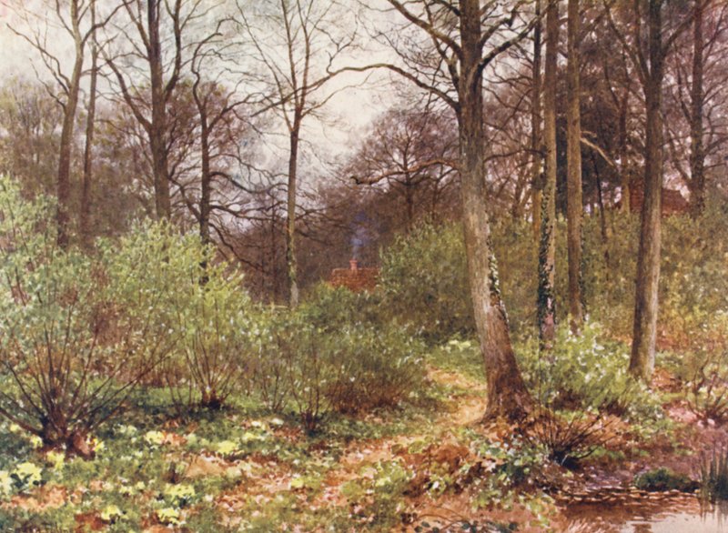 Hájovna (barevná litografie) od Harold Sutton Palmer