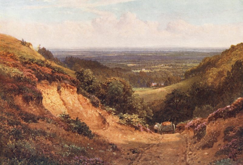 Štěrkovna nad Gomshallem (barevná litografie) od Harold Sutton Palmer