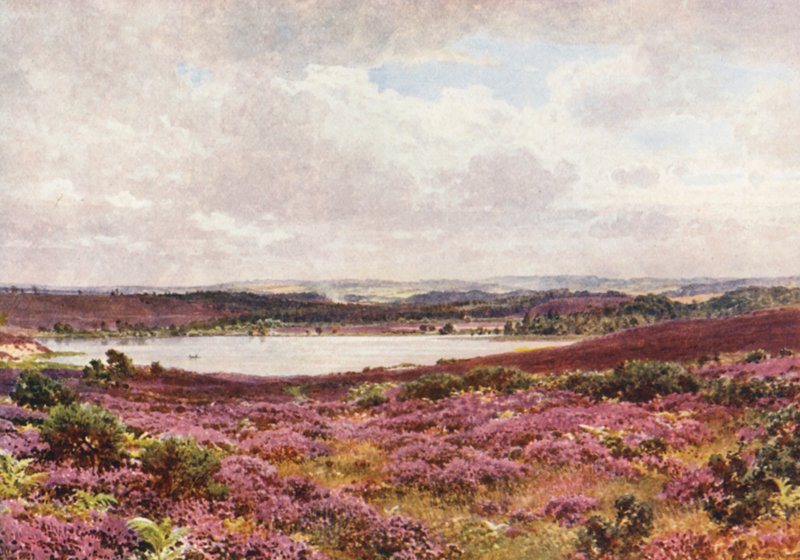 Velký rybník, Frensham (barevná litografie) od Harold Sutton Palmer