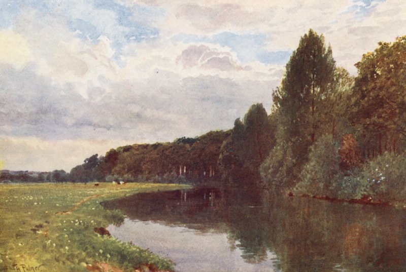 Řeka Wey u Ripley (barevná litografie) od Harold Sutton Palmer