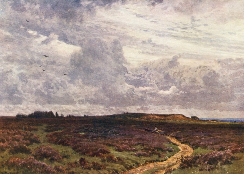 The Sandy Road, Milford Heath (barevná litografie) od Harold Sutton Palmer